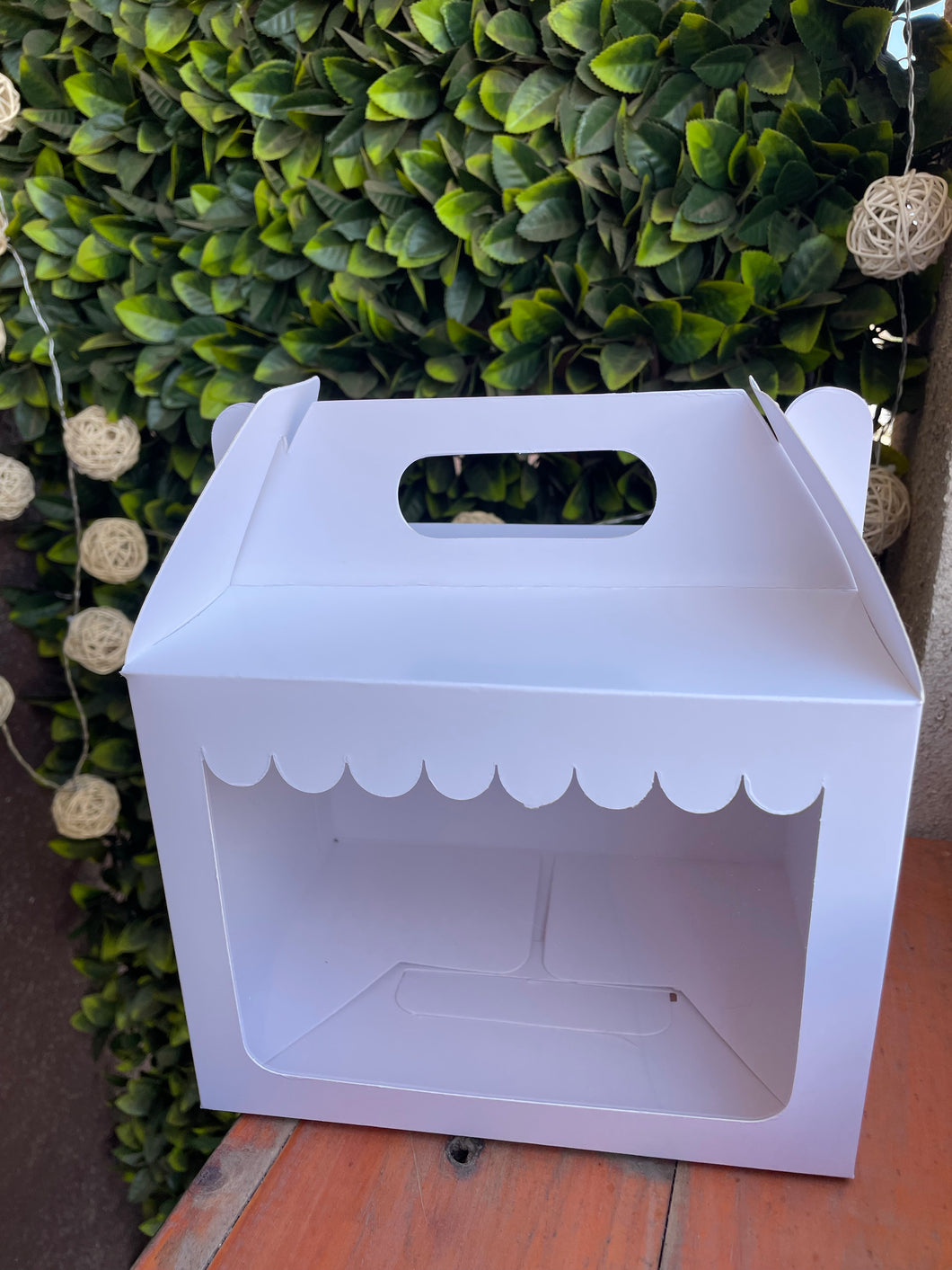 Caja maletin visor onda