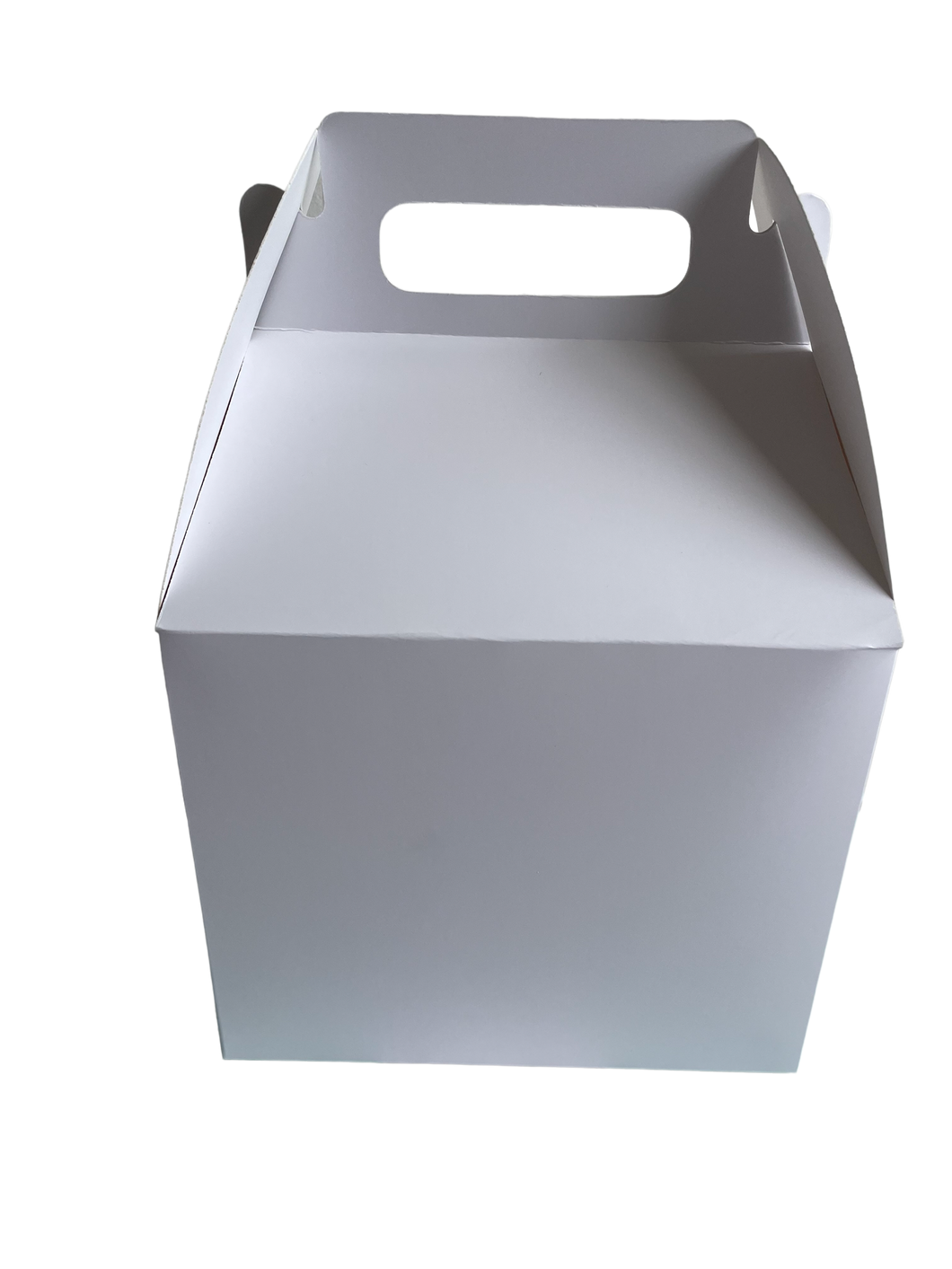 Caja maletin
